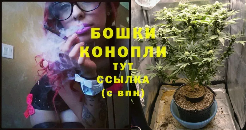 Бошки марихуана LSD WEED  цены   hydra ONION  Красноперекопск 